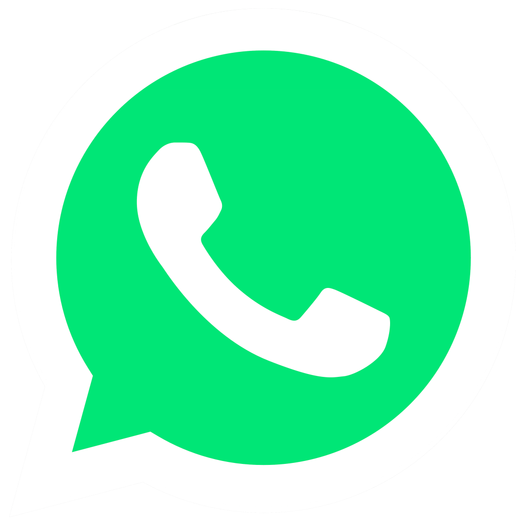 Whatsapp Now